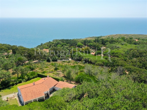 Small farm with a house with land with views of the sea