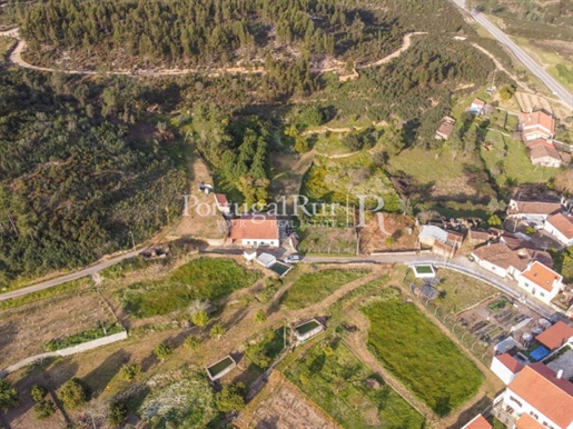 A 'Quinta da Arriacha' com uma área de 17.200 m2