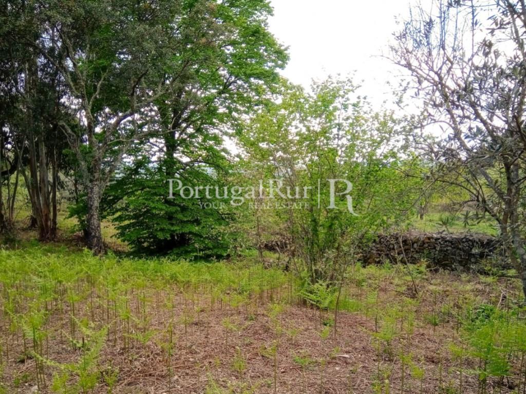 Boerderij Studio Te Koop Portalegre