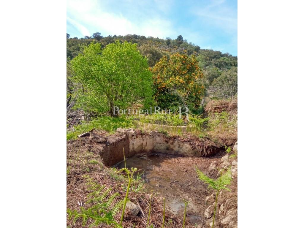 Boerderij Studio Te Koop Portalegre