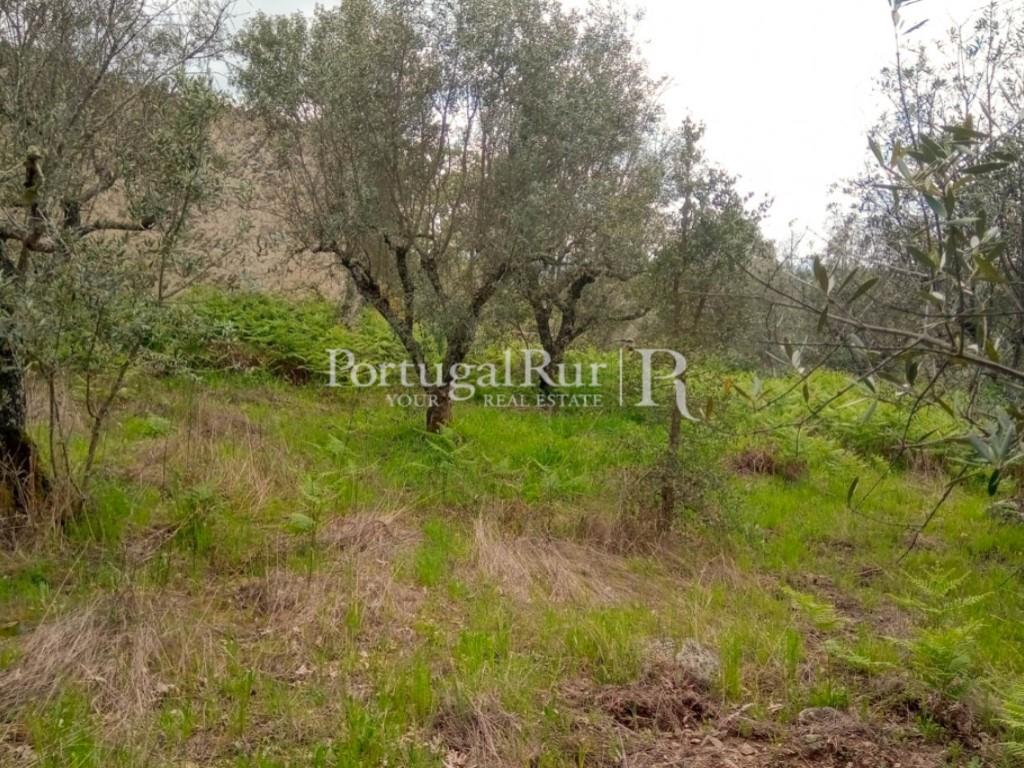 Boerderij Studio Te Koop Portalegre