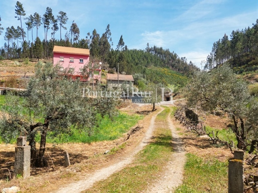 חוות 4ha עם וילה בת 3 קומות בעמק הכפרי
