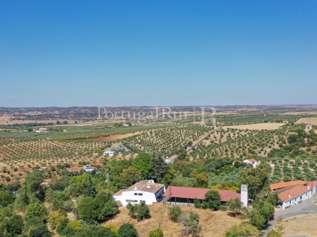 Quintinha com 2 moradias, boxes e picadeiro para cavalos em Moura - Alentejo