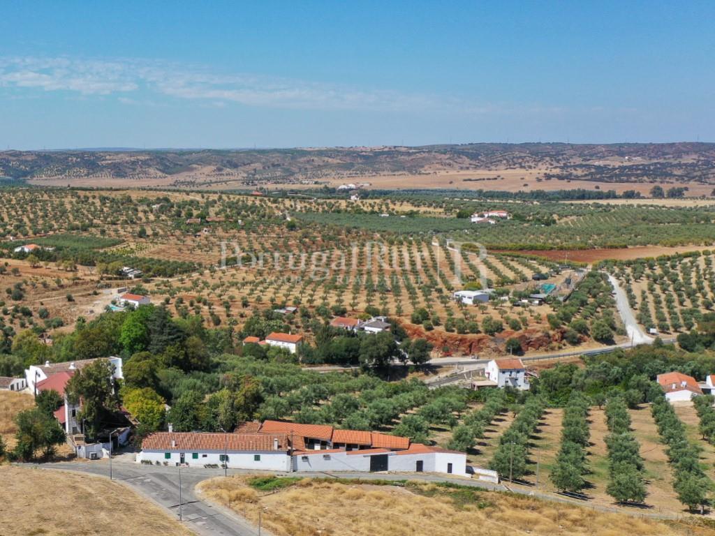 Quintinha com 2 moradias, boxes e picadeiro para cavalos em Moura - Alentejo