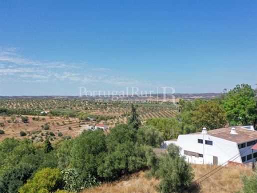 Charming farm with 2 houses, near the town of Moura, Alentejo