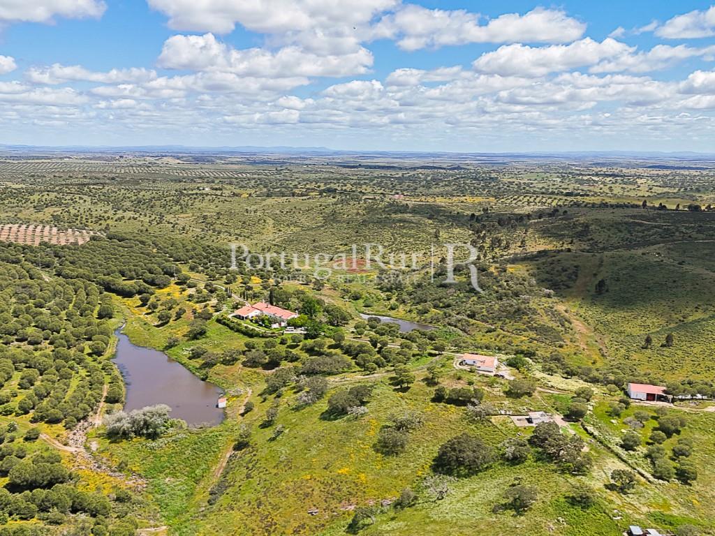Estate with 90 hectares and 2 houses