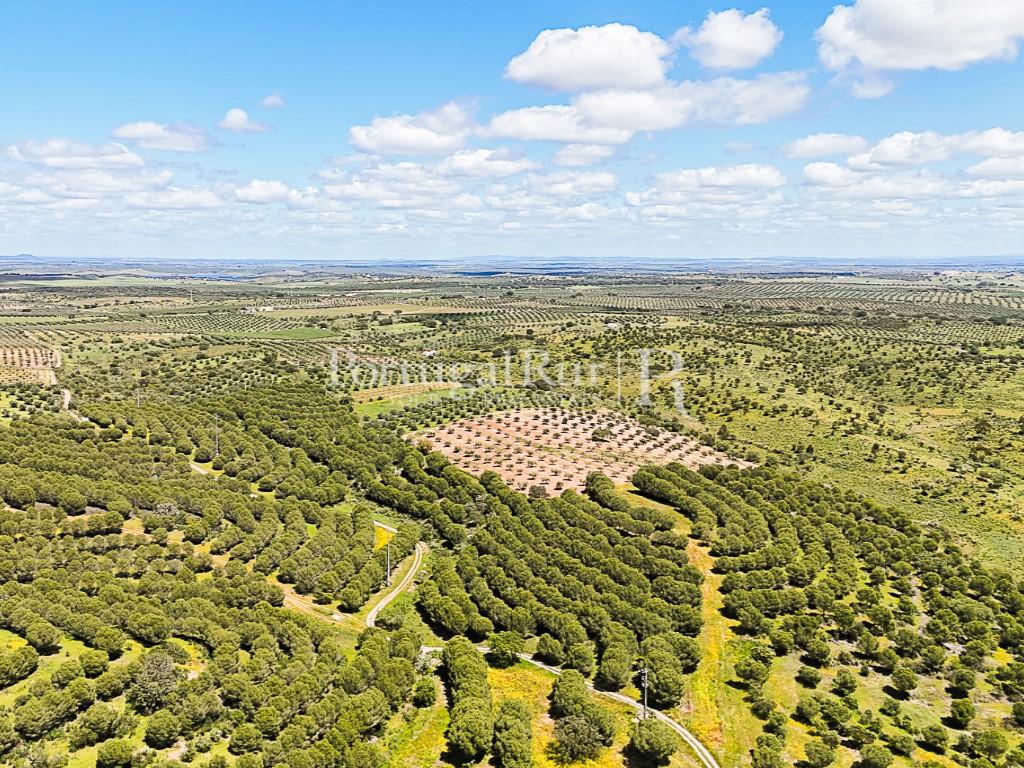 Estate with 90 hectares and 2 houses