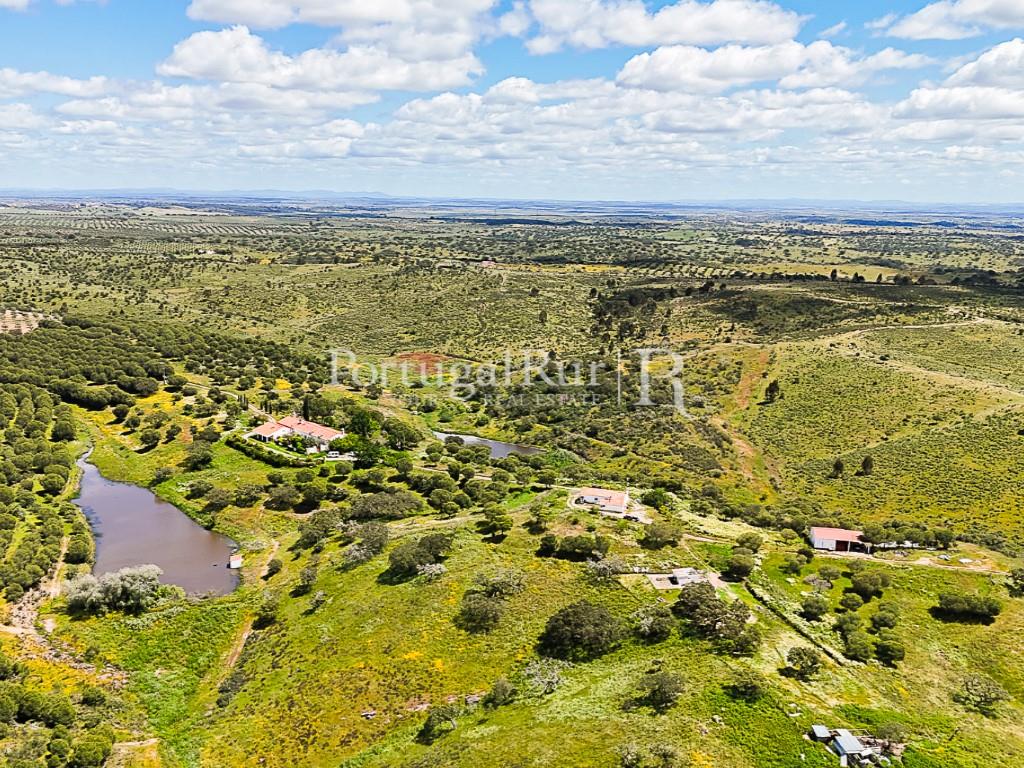 Estate with 90 hectares and 2 houses