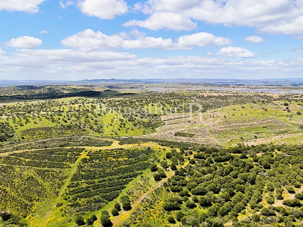 Estate with 90 hectares and 2 houses
