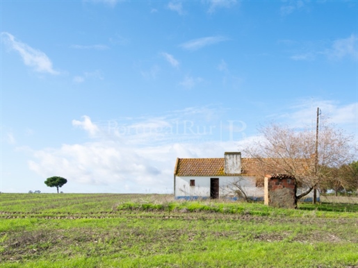 Farm with 1,8 ha and house to recover, 45 minutes from Lisbon