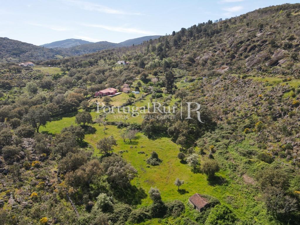 Charming Estate in the Serra de S.Mamede