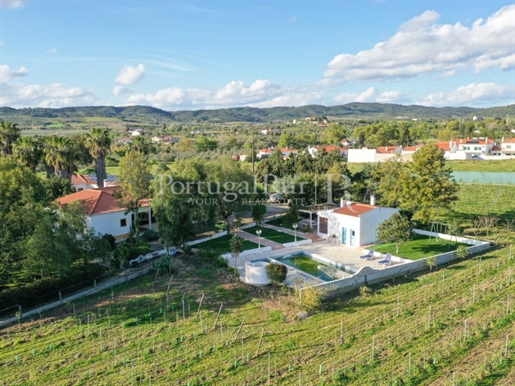 Farm with 2 hectares in Vidigueira - Alentejo, with agricultural production