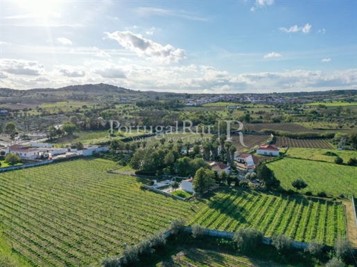 Quinta com 2 hectares na Vidigueira com produção agricola
