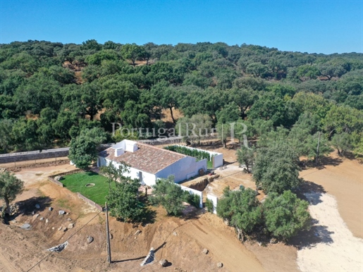 Charmoso monte alentejano com 2,8 ha, em Évora - Alentejo