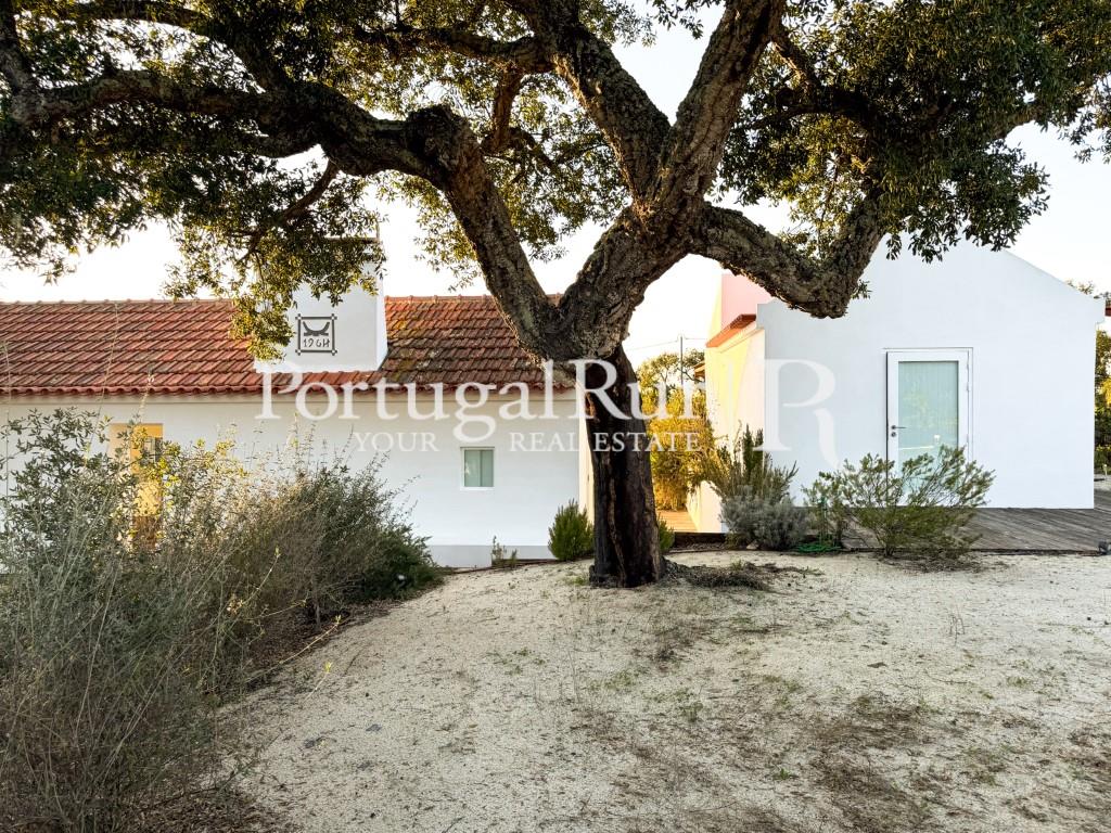 Charming House near Melides and Comporta