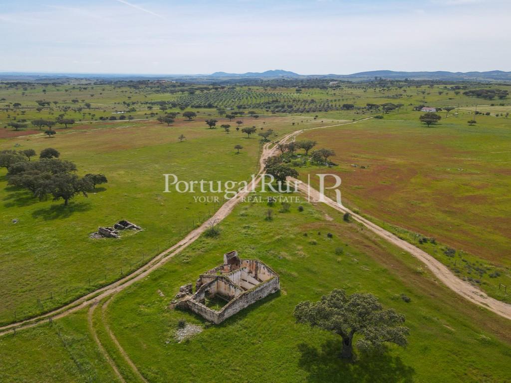 Herdade com 53ha perto do Alandroal