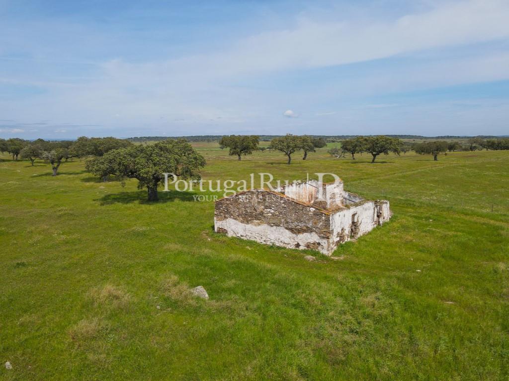 Herdade com 53ha perto do Alandroal