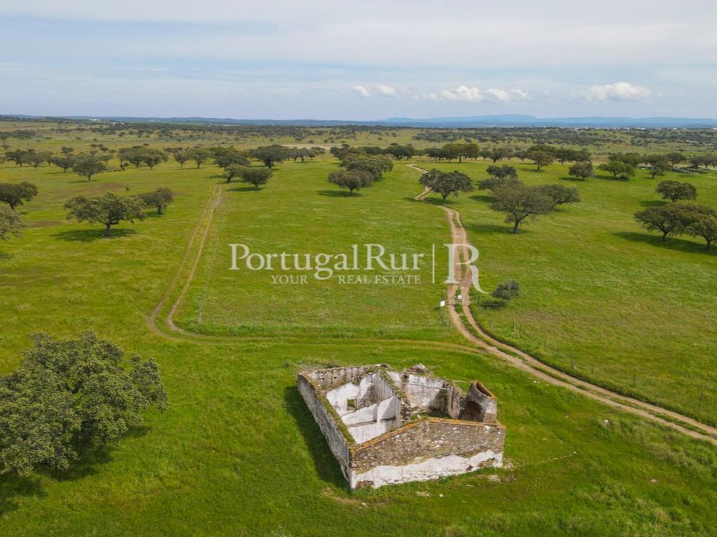 Herdade com 53ha perto do Alandroal