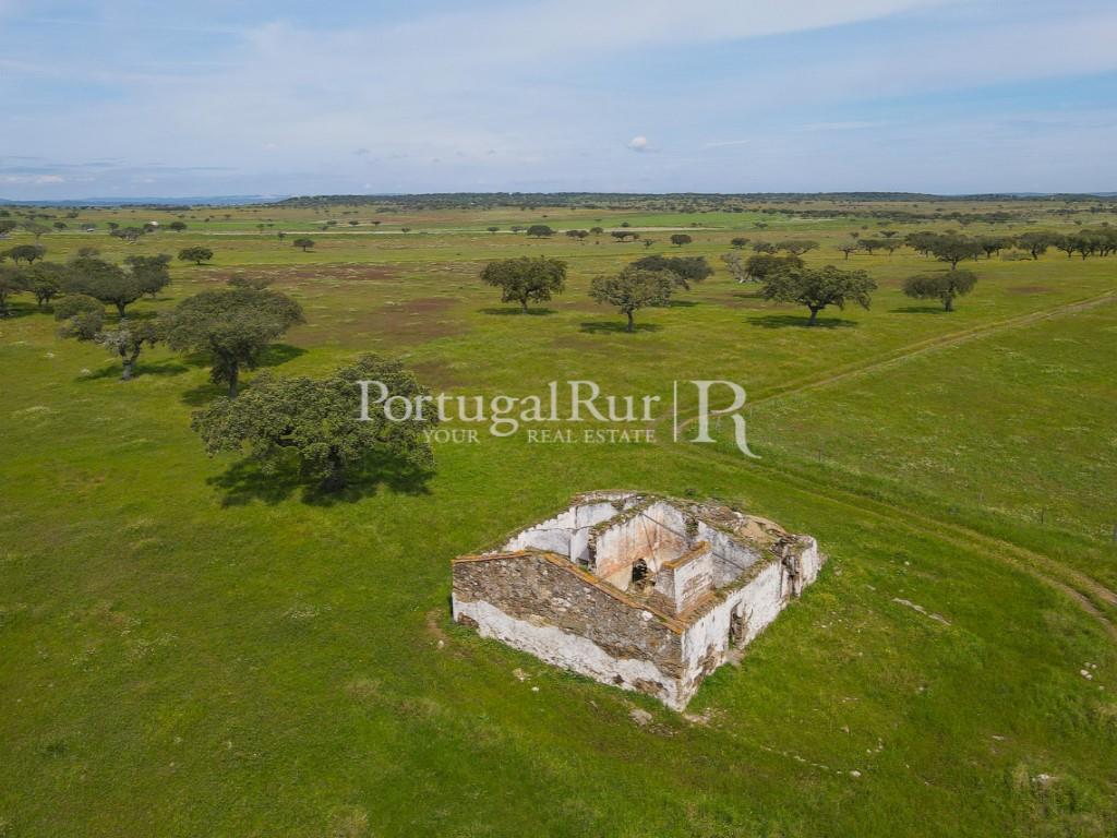 Herdade com 53ha perto do Alandroal