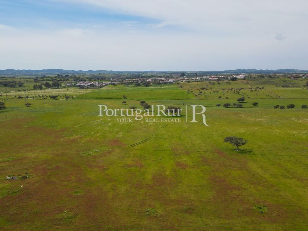 Herdade com 53ha perto do Alandroal