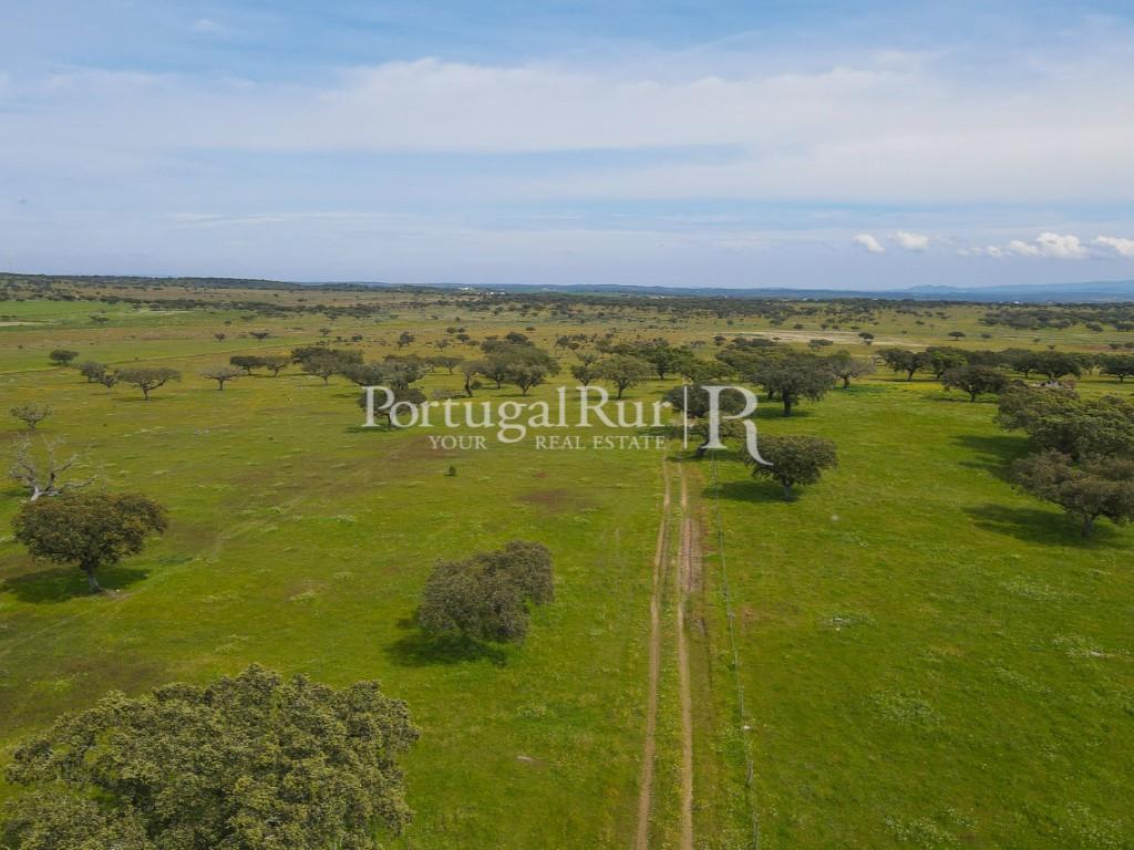 Herdade com 53ha perto do Alandroal