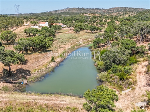 Domaine de 10 hectares à Sines