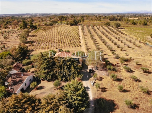 Winnica o powierzchni 22 hektarów