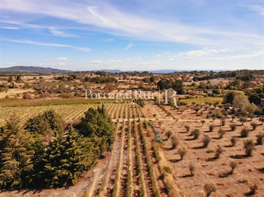 Wine estate with 22 hectares