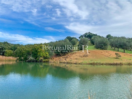 Cork Oak Estate with 375 Hectares