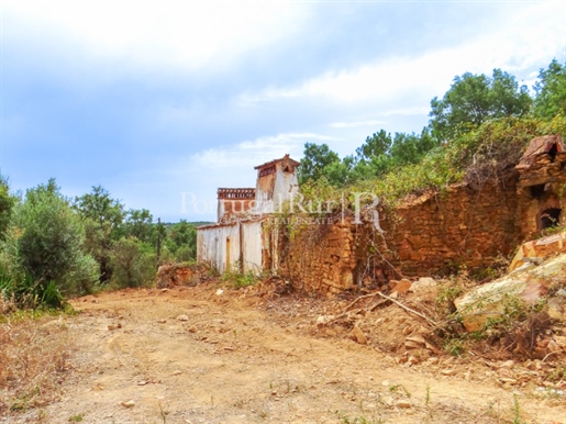 Farm in Alegrete with ruins