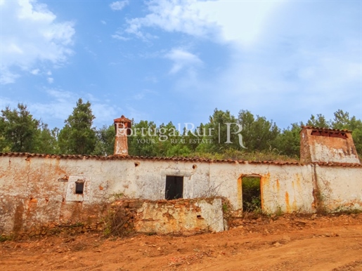 Farm in Alegrete with ruins
