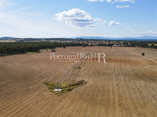 Farm with 72 ha for irrigation in Castelo Branco region
