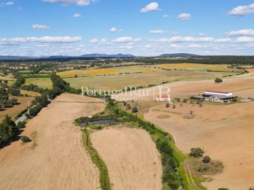 Ferme de 72 ha pour l'irrigation dans la région de Castelo Branco