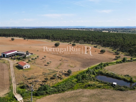 Ferme de 72 ha pour l'irrigation dans la région de Castelo Branco