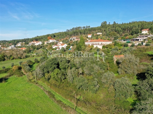 8 ha farm and 18th century manor house in the Ferreira do Zêzere region