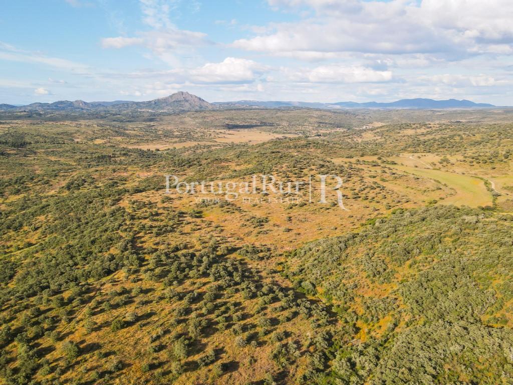 Herdade de 145 Hectares Junto ao Rio