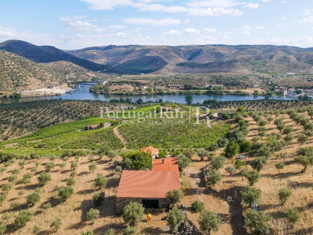 Farm in Barca D'Alva - Douro