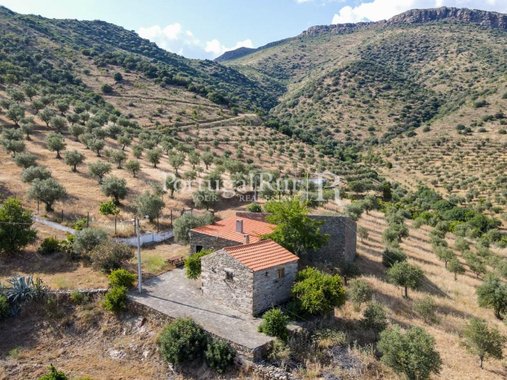 Farm in Barca D'Alva - Douro
