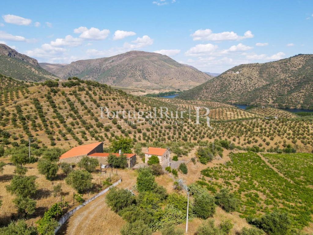 Farm in Barca D'Alva - Douro
