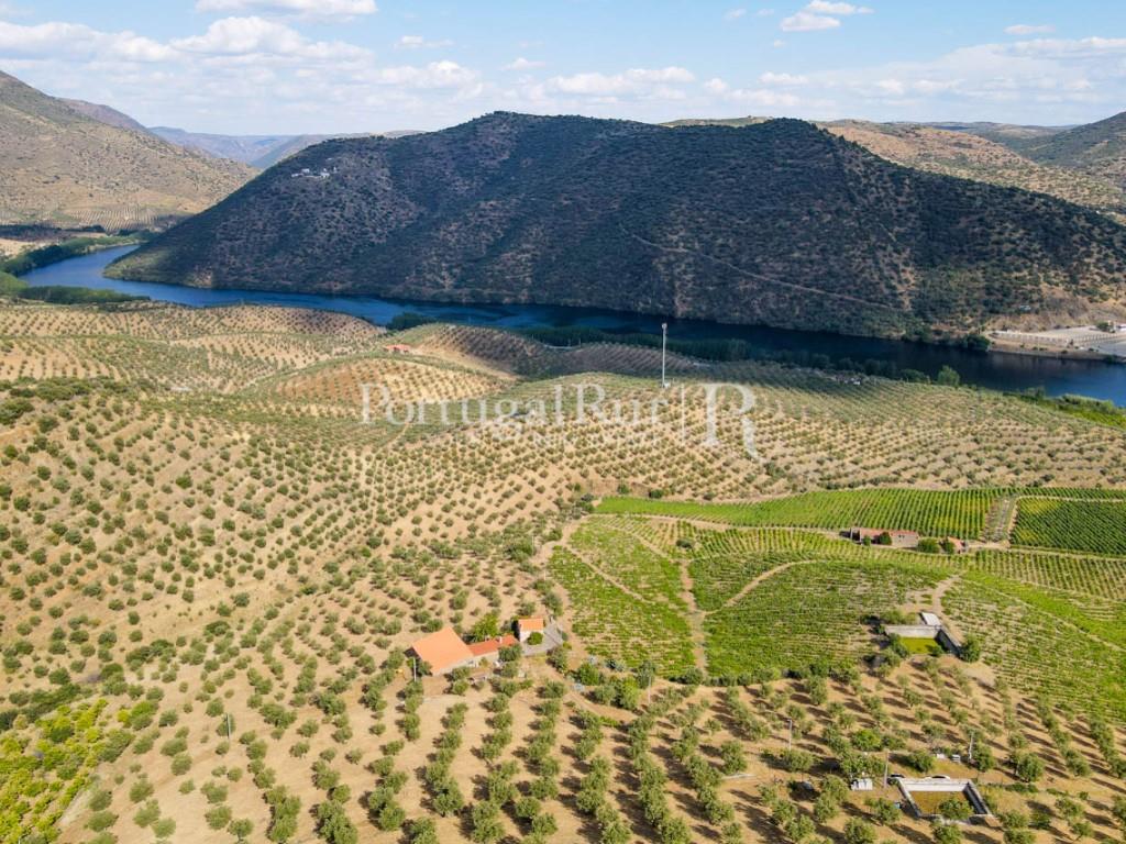 Farm in Barca D'Alva - Douro