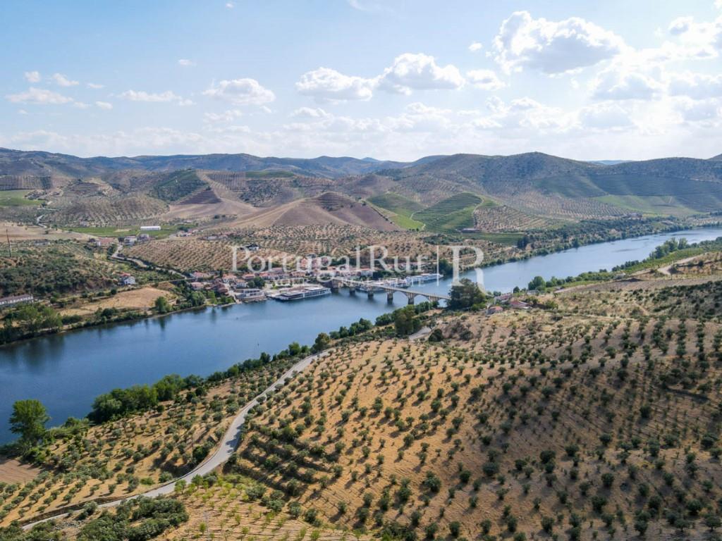 Farm in Barca D'Alva - Douro