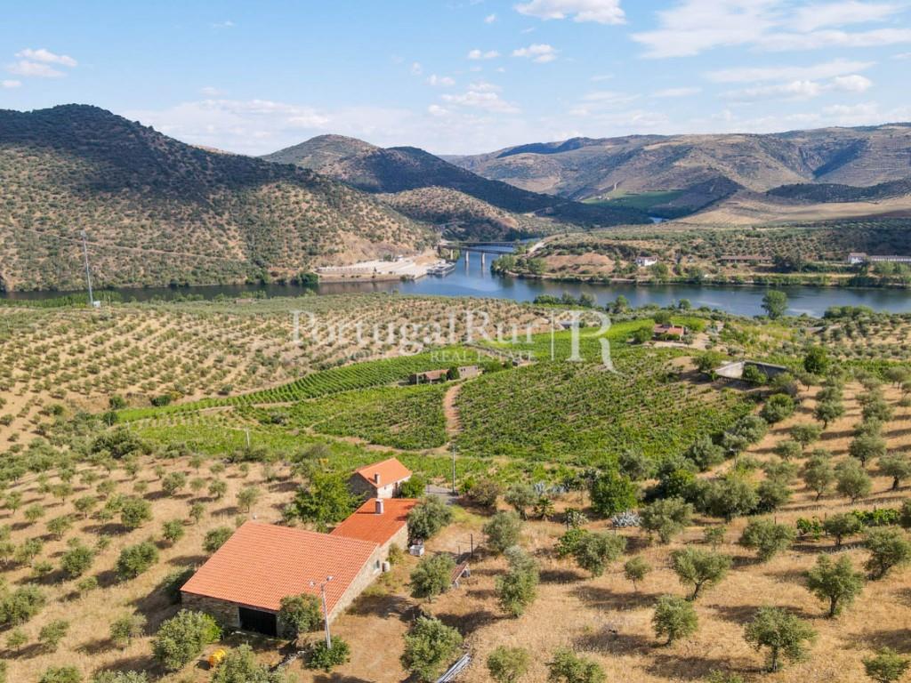 Farm in Barca D'Alva - Douro
