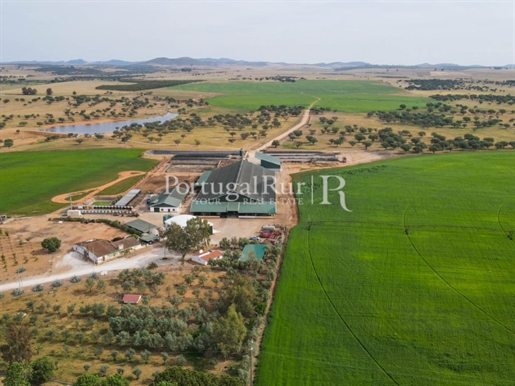 Granja de 213,5 hectáreas con establo en producción