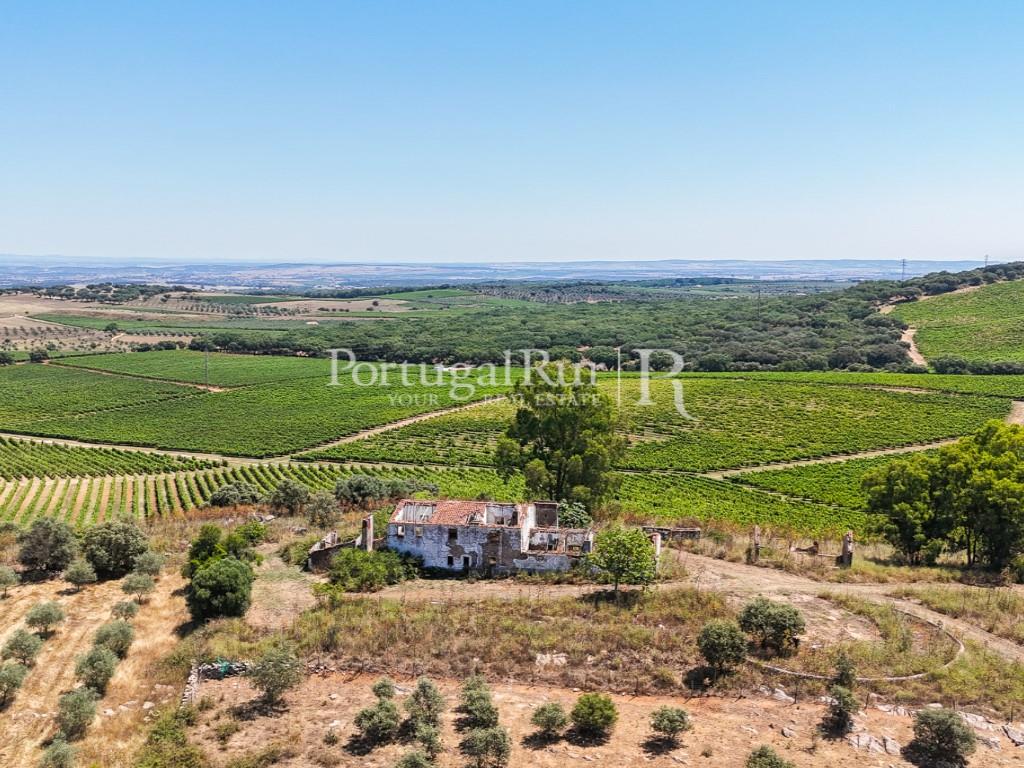 Estate with Vineyard and Tourism Potential
