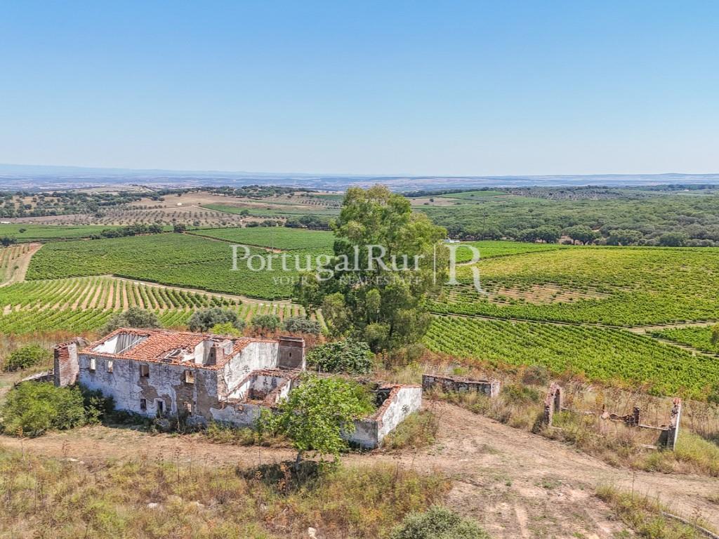 Estate with Vineyard and Tourism Potential