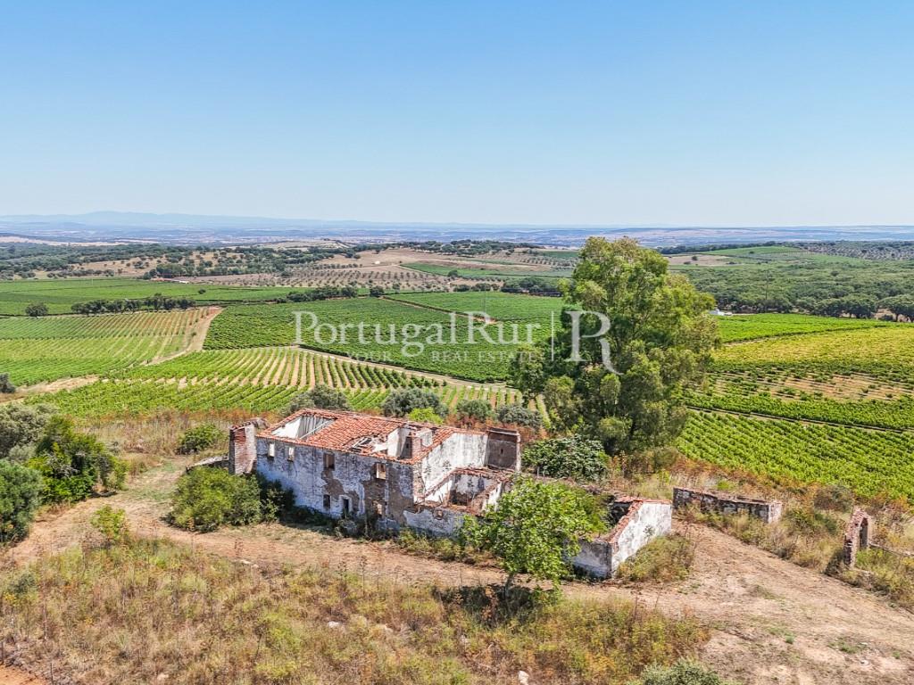 Estate with Vineyard and Tourism Potential