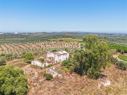 Estate with Vineyard and Tourism Potential