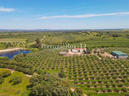 Estate with 38 hectares and 2 Houses