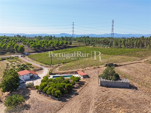 33-Hectare Estate with Winery and Vineyard