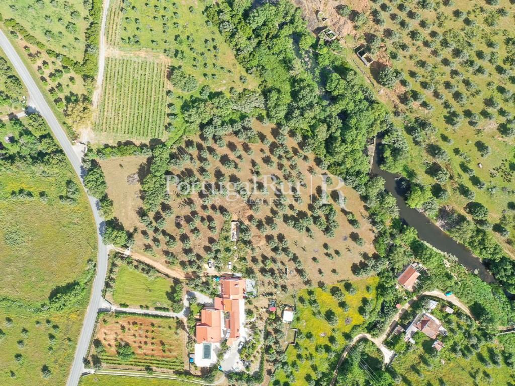 Monte alentejano T4 in Montemor-o-Novo